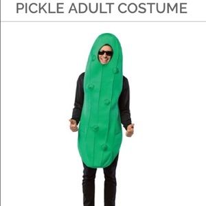 Adult Pickle Costume for men or women